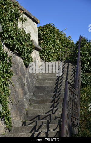 Stiege, Treppe, centre Niveaux proposés, Geländer, Freiluft, Schmiedeeisen, Beton, Stein, verwachsen, Buch, Kletterpflanze, Strauch, Parc, le Schlosspark, Schloss Ambras, Banque D'Images