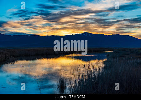 L'incandescence du soleil qui se reflète sur l'eau à Bear River Refuge d'oiseaux migrateurs près de Brigham City, Utah, USA. Banque D'Images