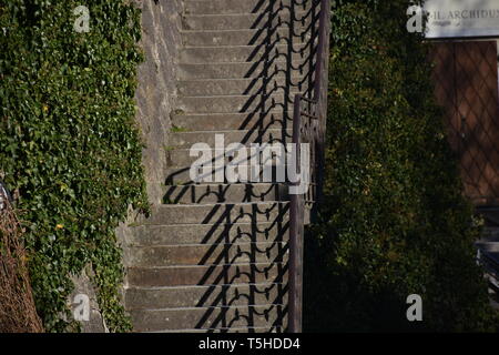 Stiege, Treppe, centre Niveaux proposés, Geländer, Freiluft, Schmiedeeisen, Beton, Stein, verwachsen, Buch, Kletterpflanze, Strauch, Parc, le Schlosspark, Schloss Ambras, Banque D'Images