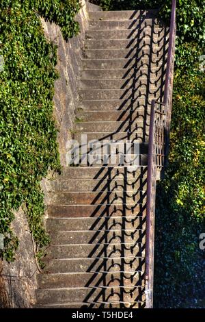 Stiege, Treppe, centre Niveaux proposés, Geländer, Freiluft, Schmiedeeisen, Beton, Stein, verwachsen, Buch, Kletterpflanze, Strauch, Parc, le Schlosspark, Schloss Ambras, Banque D'Images