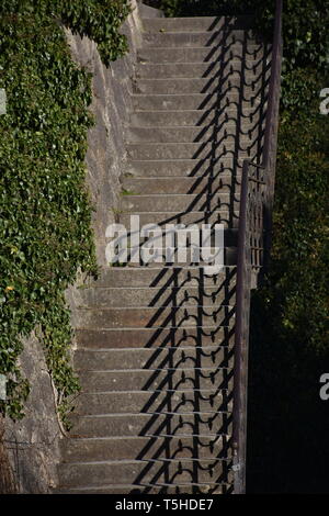 Stiege, Treppe, centre Niveaux proposés, Geländer, Freiluft, Schmiedeeisen, Beton, Stein, verwachsen, Buch, Kletterpflanze, Strauch, Parc, le Schlosspark, Schloss Ambras, Banque D'Images