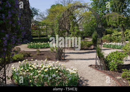 Jardin formel au printemps, Woburn Abbey Gardens, Bedfordshire, Royaume-Uni Banque D'Images