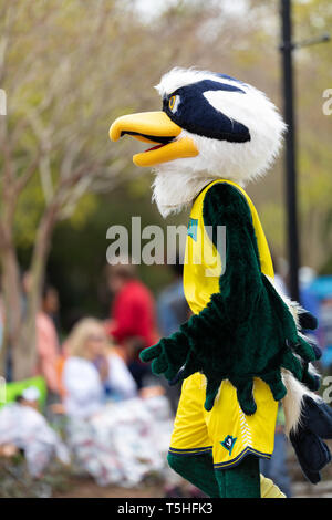Wilmington, North Carolina, USA - 6 Avril 2019 : La Caroline du Festival des azalées, Sammy C. Hawk mascotte de University of North Carolina Wilmington, Banque D'Images