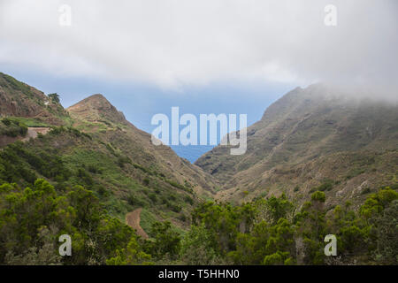 Chinamada, massif de l'Anaga, Tenerife, Canaries, Espagne. Banque D'Images