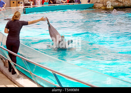 Un entraîneur féminin donne un signal de la main d'un grand dauphin à la Texas State Aquarium's dolpin show à Corpus Christi, Texas USA. Banque D'Images