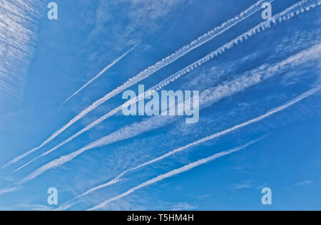 Sentier de l'avion sur un ciel bleu à Washington DC Banque D'Images