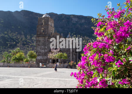 Bougainvilliers et de l'historic Misión San Francisco Javier de Viggé-Biaundó à San Javier, BCS, Mexico. Banque D'Images