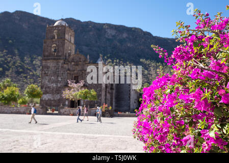 Bougainvilliers et de l'historic Misión San Francisco Javier de Viggé-Biaundó à San Javier, BCS, Mexico. Banque D'Images