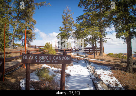 Bryce Canyon National Park, Utah, USA - 25 mars 2018 : Le bouleau noir Canyon d'élévation Banque D'Images