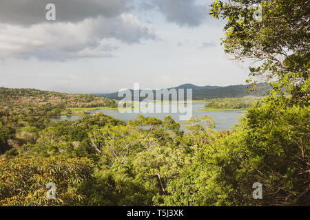 Gamboa Aerial Tram Tour Banque D'Images