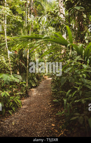 Gamboa Aerial Tram Tour Banque D'Images