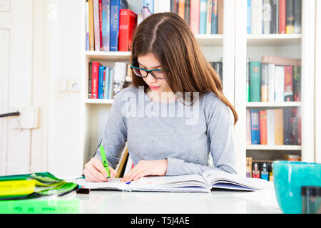 Girl doing homeworks Banque D'Images