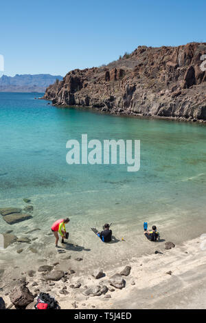 Se préparer à la plongée avec tuba, de la Baie de Loreto Nat. Park, Baja California Sur, au Mexique. Banque D'Images