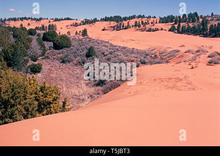 Après une nuit de grand vent, Coral Pink Sand dunes désertiques sont en début de matinée. Banque D'Images