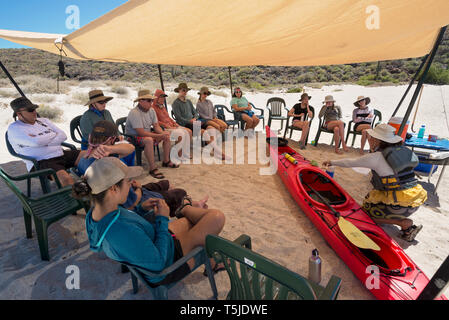 Guide qui donne instruction de kayak de mer sur l'île d'Espiritu Santo, Baja California Sur, au Mexique. Banque D'Images