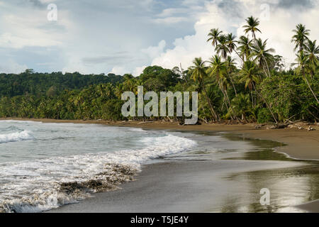 Plage naturelle dans le sud du Costa Rica près de parc national de Corcovado. Rincón de San Josecito, Agujitas de Drake, Puntarenas, Costa Rica Banque D'Images