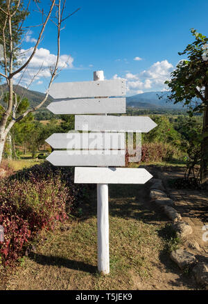 Panneau en bois blanc vierge flèches Banque D'Images