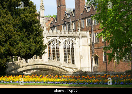 Pont des Soupirs St Johns College du côté ouest de la rivière Cam Banque D'Images