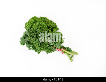 Bunch of american kale sur fond blanc. Banque D'Images