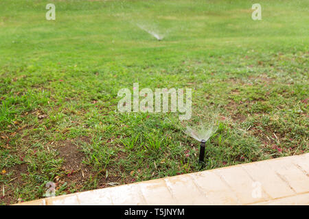 Jardin de gicleurs d'arrosage des pelouses. Arrosage automatique pelouse concept. Banque D'Images