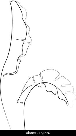 Coloriage Feuille De Bananier