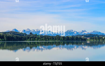 Printemps nature au lac de l'Est de l'Allgäu Lech Banque D'Images