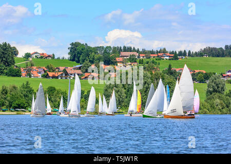 Régate de voile sur un petit lac intérieur dans la région Allgäu Banque D'Images