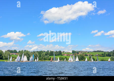 Régate de voile sur un petit lac intérieur dans la région Allgäu Banque D'Images