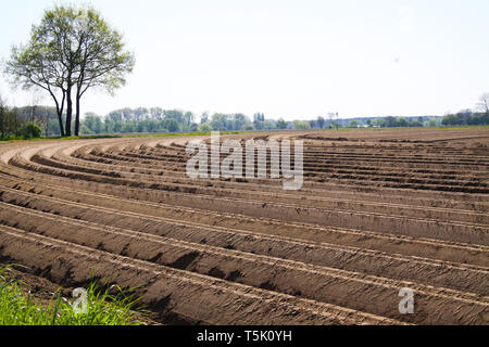 Vue sur les terres labourées labouré avec sillons courbes symétriques en Pays-Bas près de Roermond Banque D'Images