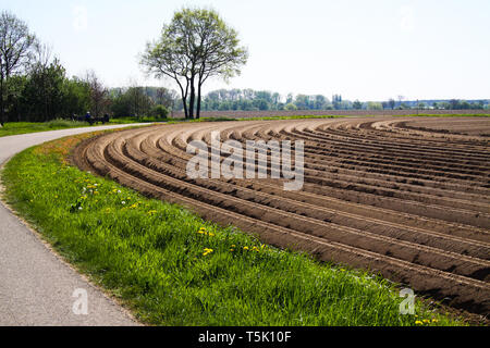 Vue sur les terres labourées travaillés avec des sillons courbes symétriques le long de piste cyclable en Pays-Bas près de Roermond Banque D'Images