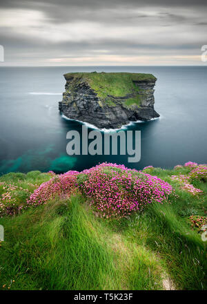 L'île de l'évêque, près de Kilkee, sur la côte de Clare Irlande Banque D'Images