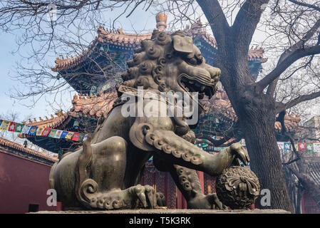 Tuteur masculin lion avec balle en Temple de Yonghe aussi appelé temple du Lama de l'école Gelug du bouddhisme tibétain dans le district de Dongcheng, Beijing, Chine Banque D'Images