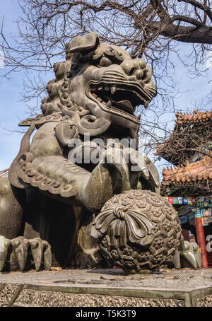 Tuteur masculin lion avec balle en Temple de Yonghe aussi appelé temple du Lama de l'école Gelug du bouddhisme tibétain dans le district de Dongcheng, Beijing, Chine Banque D'Images