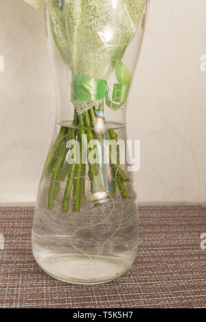 Tiges de fleurs rose vert sont photographiés dans l'eau dans un vase transparent Banque D'Images