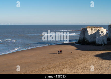 Balades en famille les chiens sur la plage à Botany Bay, Kent, UK Banque D'Images