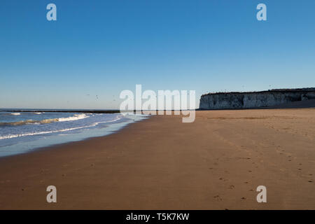 Oiseaux volant flocage sur les falaises sur la plage au coucher du soleil Banque D'Images