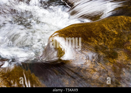 Sur les rochers dans l'eau tumbling un ruisseau de montagne Banque D'Images