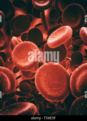 Les cellules rouges du sang illustration Banque D'Images