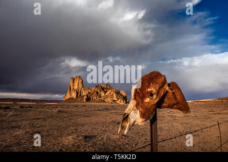 Monument Valley, Arizona désert paysage avec un crâne Banque D'Images