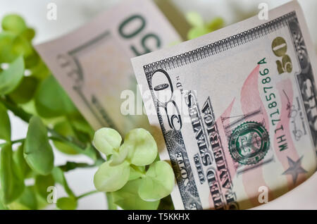 Deux projets de cinquante dollars de l'argent avec des feuilles vertes Banque D'Images