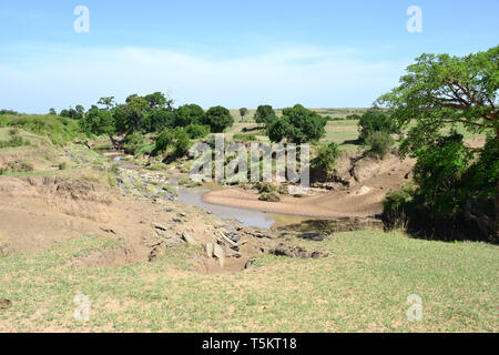 La rivière Talek, Masai Mara, Kenya, Afrique Banque D'Images