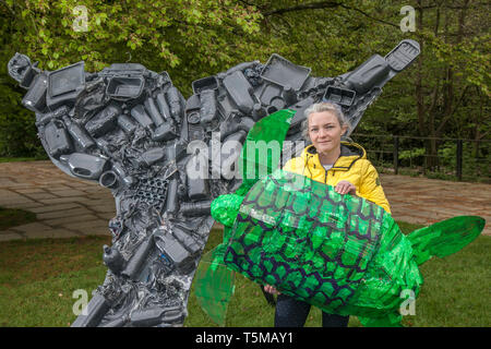 Articles fabriqués à partir de Wray en plastique recyclé, Lancaster. 26 avril 2019. Préparations en cours au festival de Scarecrow sous le nom de Tara Ablett (MR) un assistant d'enseignement de l'école de Melling apporte des ajustements de dernière minute aux fontes de la queue de baleine, une exposition faite par des enfants de l'école à l'aide de contenants et d'emballages en plastique, contenant de boissons recyclées, réutilisé, bouteilles de boisson en plastique de couleur à boire, toutes utilisées pour créer des sculptures animales. Le thème 2019, choisi par l’école locale, est « évolution : éteint, en voie de disparition, Existant » Banque D'Images