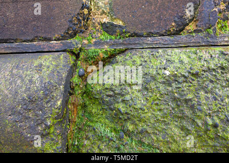 Sea Wall, Walpole Bay, près de Margate, Kent, UK Banque D'Images