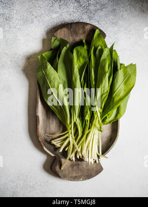 Bouquet de récolte de printemps ramson ou ail des bois feuilles herbe bunch sur plateau en bois rustique sur fond gris Banque D'Images