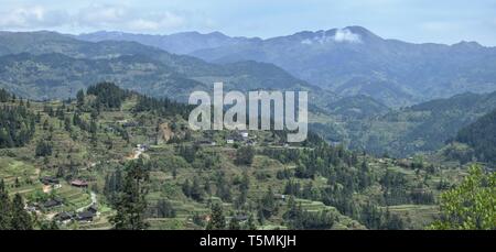 Le paysage de montagne de la province de Guizhou en Chine. Hautes collines,petits villages rizières en terrasses et les champs de thé cachés dans les nuages. Banque D'Images