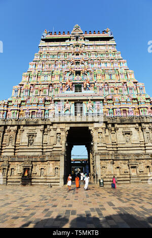 La colorée Thillai Natarajah temple de Chidambaram, l'Inde. Banque D'Images