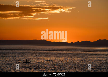 Kayak de mer au coucher du soleil, l'île d'Espiritu Santo, Baja California Sur, au Mexique. Banque D'Images