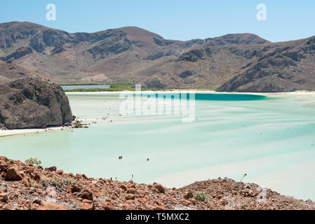 Plage Balandra à l'extérieur de La Paz, Baja California Sur, au Mexique. Banque D'Images