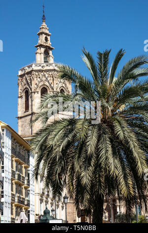 Valencia Cathedral Espagne Plaza de la Reina Square, Micalet Bell Tower Palmier Valencia Espagne Vieille ville Architecture monument XIVe siècle, palmier Banque D'Images