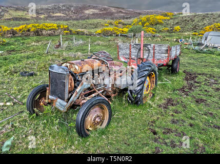 Ferguson TE20, Husabost, île de Skye. Banque D'Images